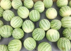 博文真实吃瓜,带你走进幕后故事