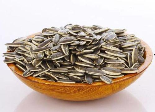 吃瓜群众准备瓜子,品味生活，共享欢乐时光