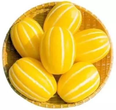 闻着味吃瓜,品味生活之美