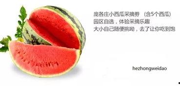 闻着味吃瓜,品味生活之美