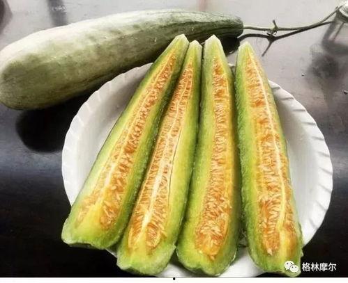 吃瓜永不停歇,永不停歇的娱乐盛宴