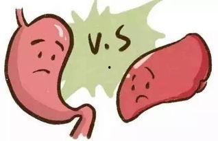 吃瓜肚子痛拉稀