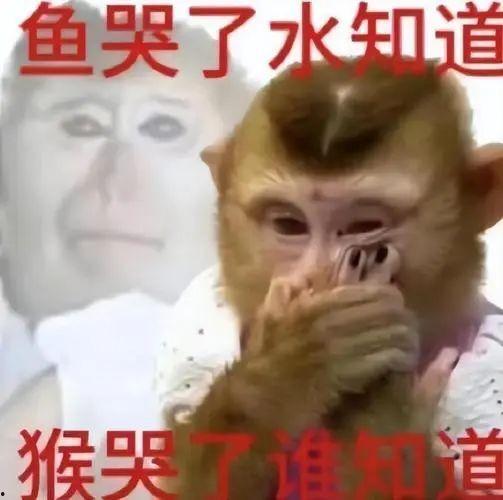 原神吃瓜事,揭秘游戏圈吃瓜大事件,玩家热议不断!