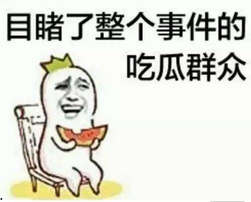 吃瓜群众仓鼠粮,营养与美味的完美结合