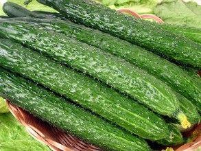 吃瓜补钙,揭秘日常饮食中的钙质宝藏