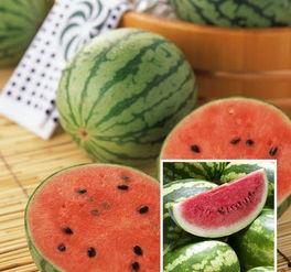 早瓜吃的好吗,吃得好不好，一试便知