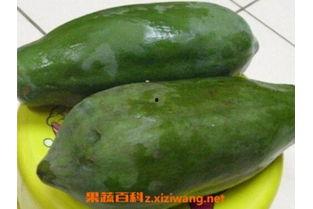 木瓜吃籽还是吃瓜,探寻木瓜的食用奥秘